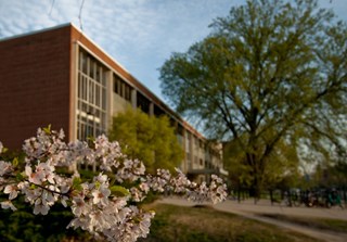 Flowers are shown in front of a building on the Michigan State University campus.