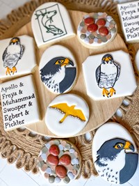 Sugar cookies made to look like falcons with icing