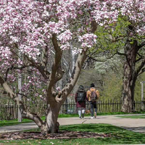 Students walking on the campus at Michigan State University.